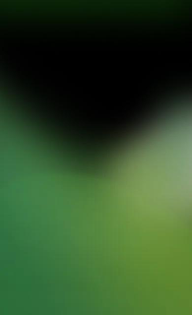 gradient_hospital-detail-mobile