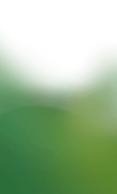 gradient_insurance-mobile