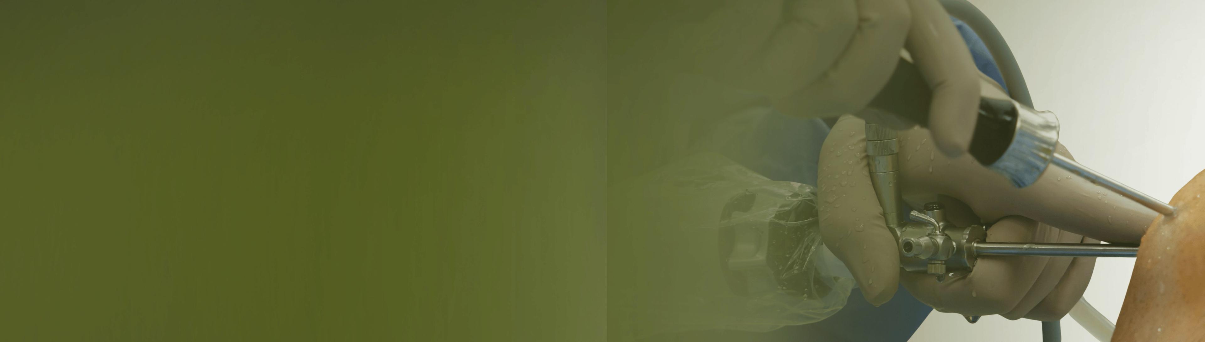 bg_home-cover